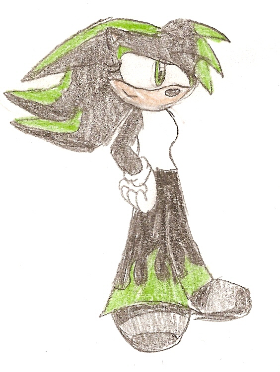 Request 4 Shadowrulez by Shadowthe_hedgehog