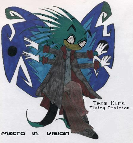 Macro N. Vision by Sham-Sham