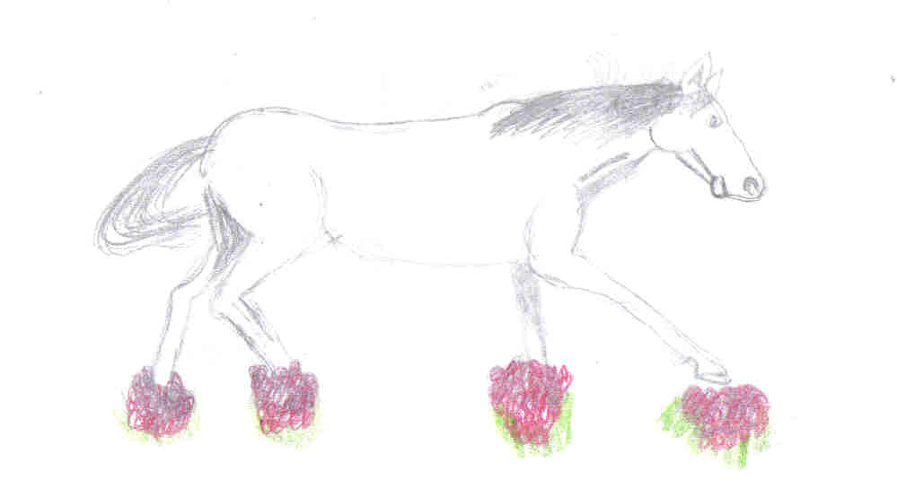 Horse (Not coloured) by Shawna