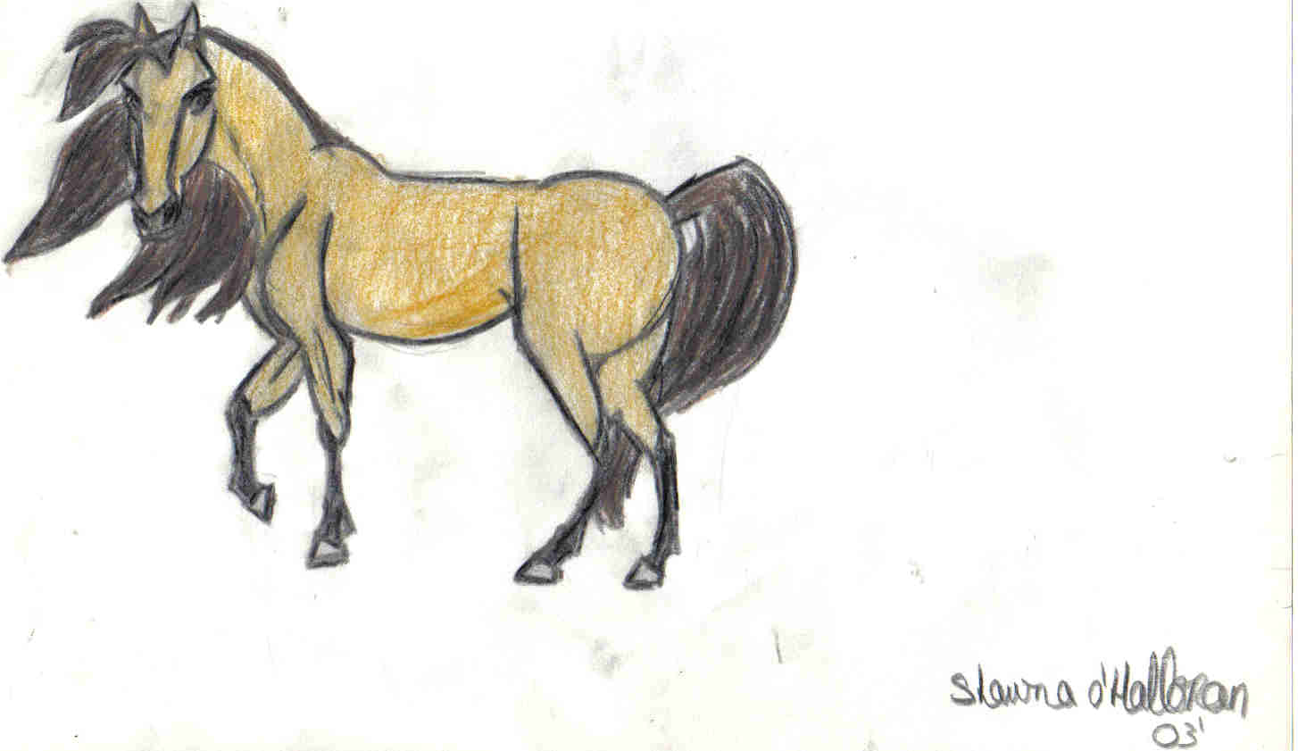Spirit:  Stallion of the Cimmaron by Shawna