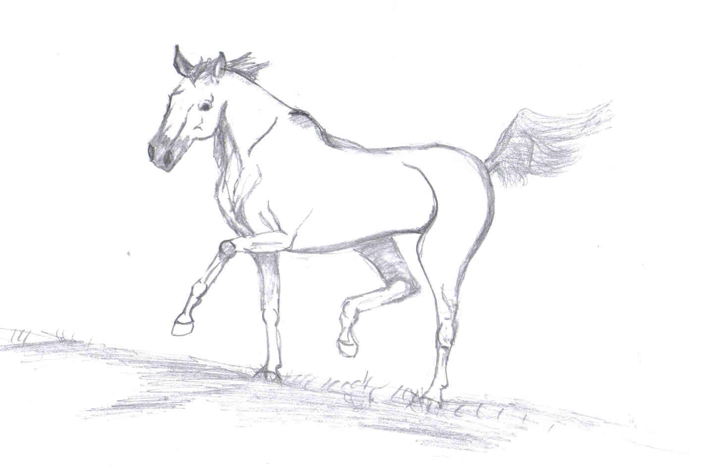 horse sketch cool pose by Shawna