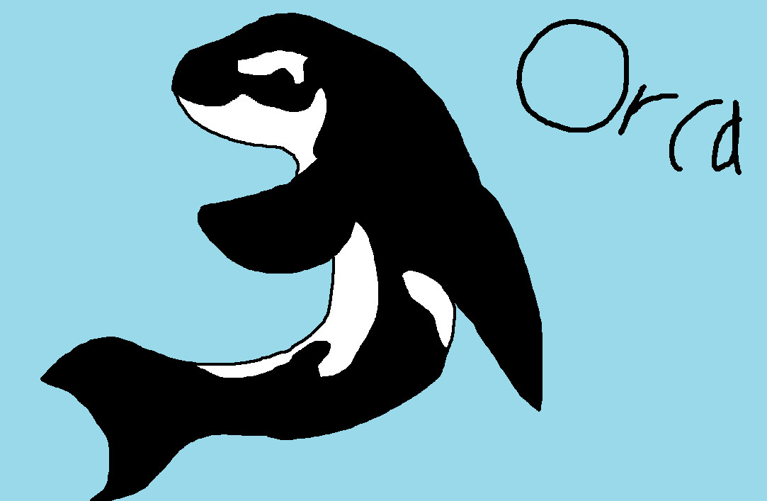 Orca by Shimmer