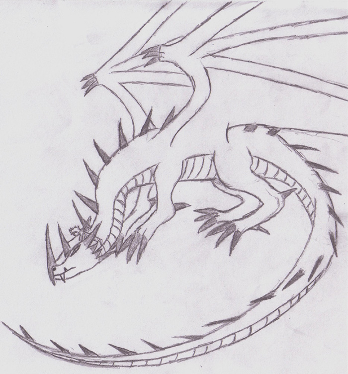 Dragon i drew for Norikitty by Shinobi