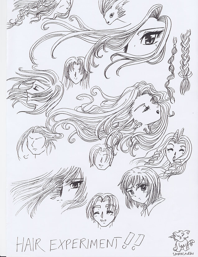 The Hair Drawing Experiment by ShiroiNeko1989