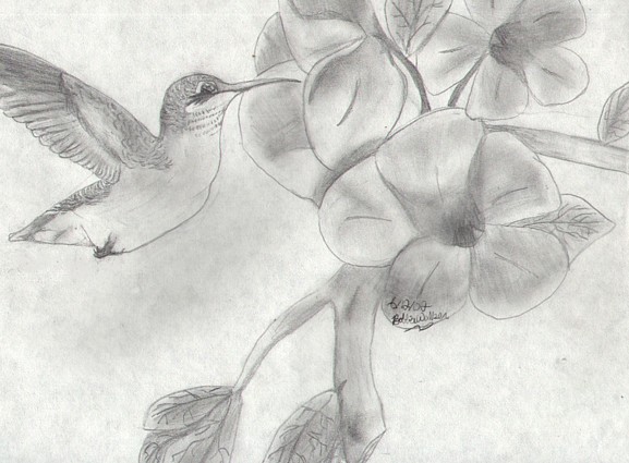 Hummingbird~Shiz by Shizuki_Rain