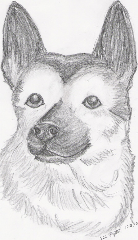 My doggie! by Shjini