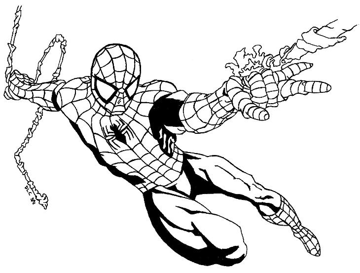 Spiderman by Shorehawk25