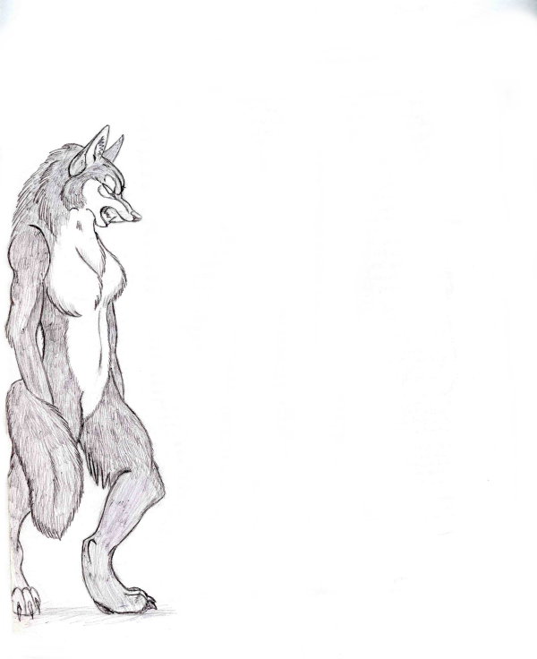 Werewolf by ShowNoMercy
