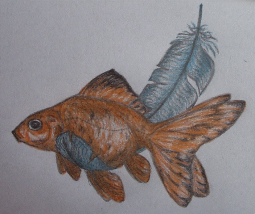 Flying goldfish by Shrike