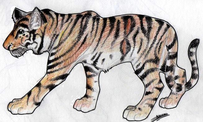 Tiger Shade by Siatea