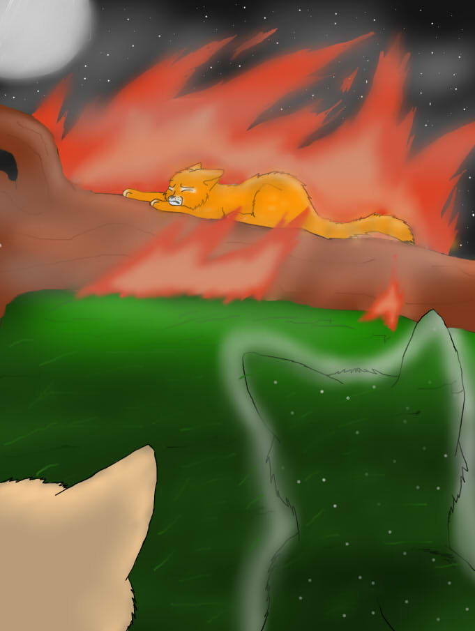 Firestar's Death by Silver-Hollystar