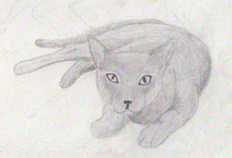 Kitty Catt by SilverLiningCloudy