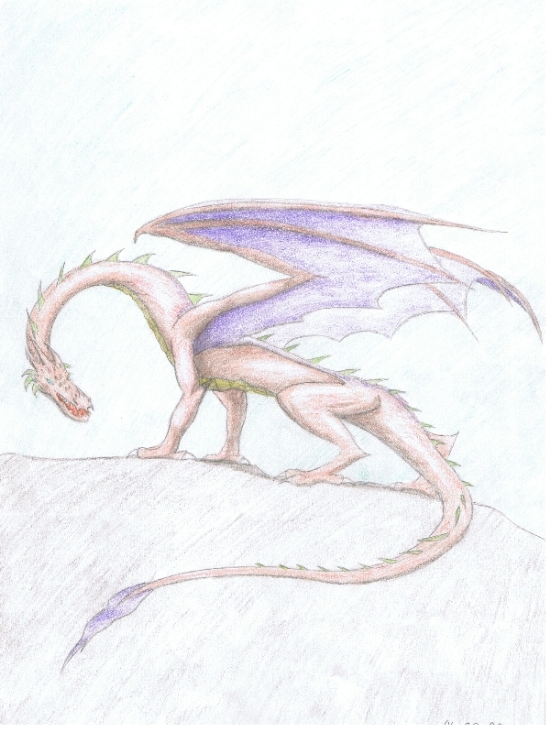 Orange Dragon by SilverPhoenix