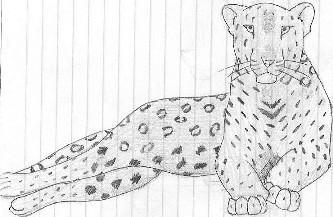 Leopard by Silver_Ice_Tiger