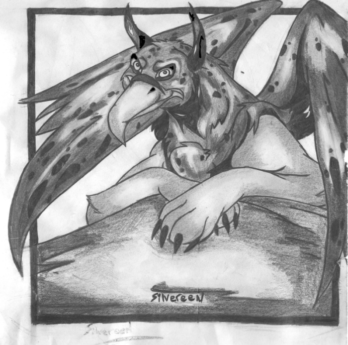Griffin by Silvereen