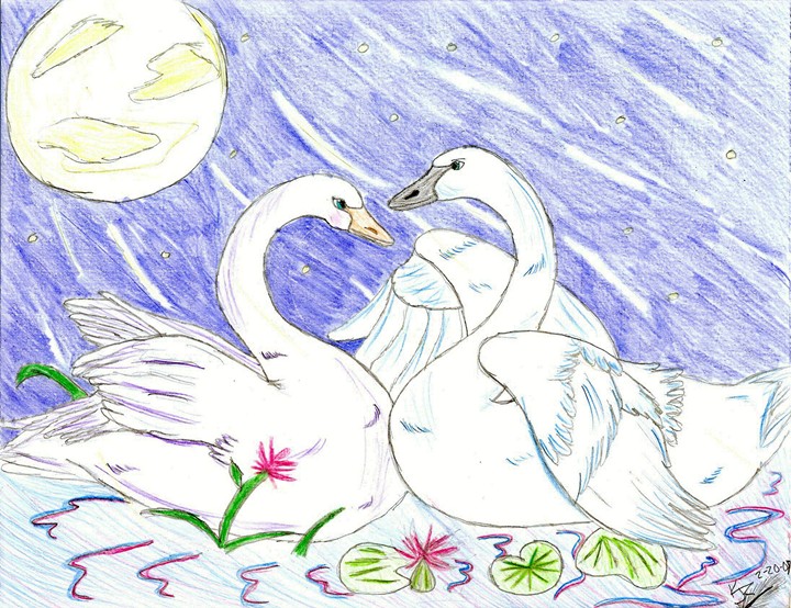 Swans by Silverfeather