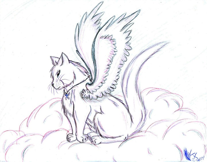An Angel Cat by Silverfeather