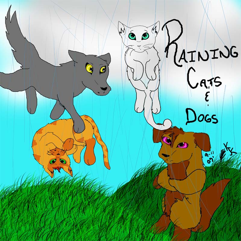 Raining Cats and Dogs by Silverfeather