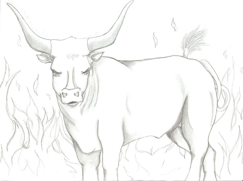 Bull (Feel Free To Color) by Silverfeather