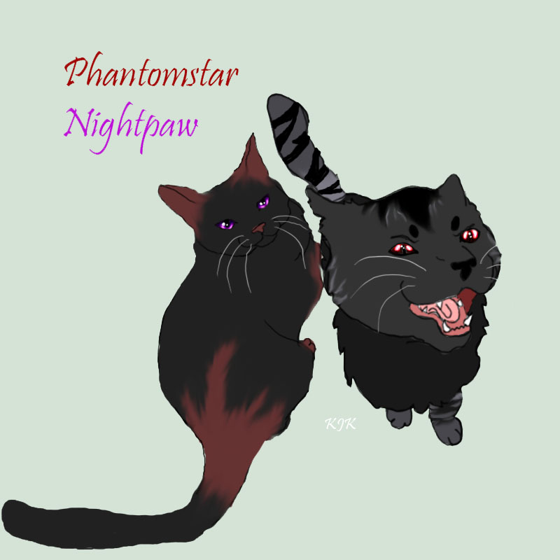 Nightpaw and Phantomstar by Silverfeather