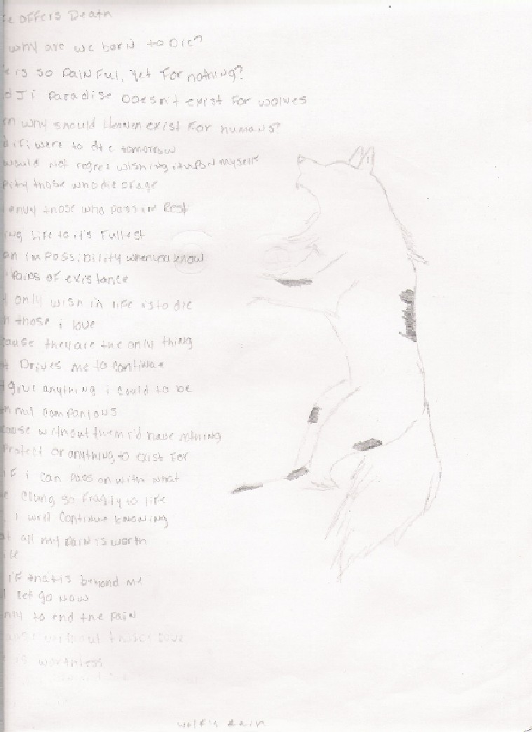 Falling down on Me (Wolf's Rain) by SingtheSorrow