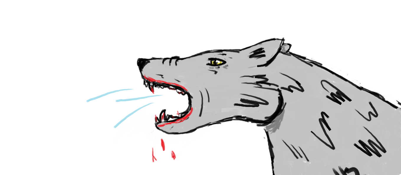 A wolf! by Sjors_Rockt