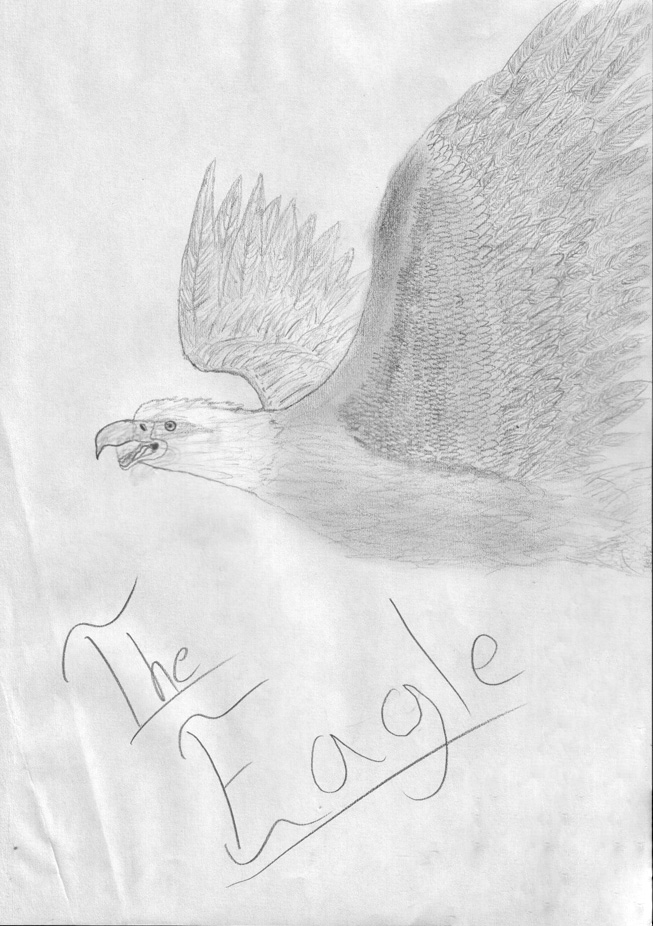 Flying Eagle by SketcherOfFaith
