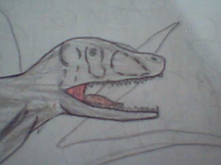 Raptor by Skinar