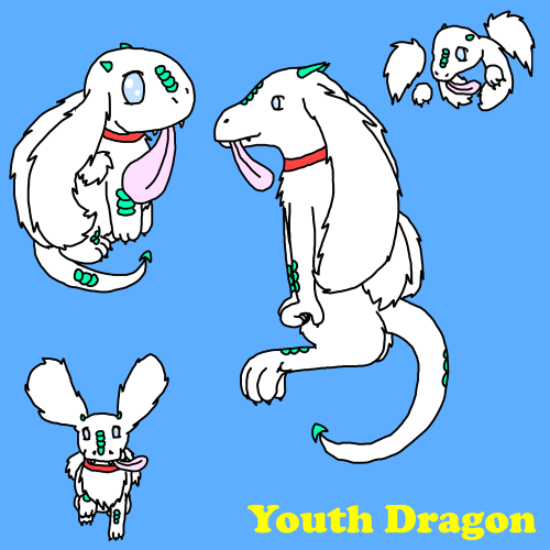 BlackPheonixHighlord's Youth Dragon by SkyThing