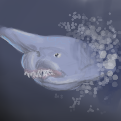 Goblin Shark Speedpaint by SkyThing