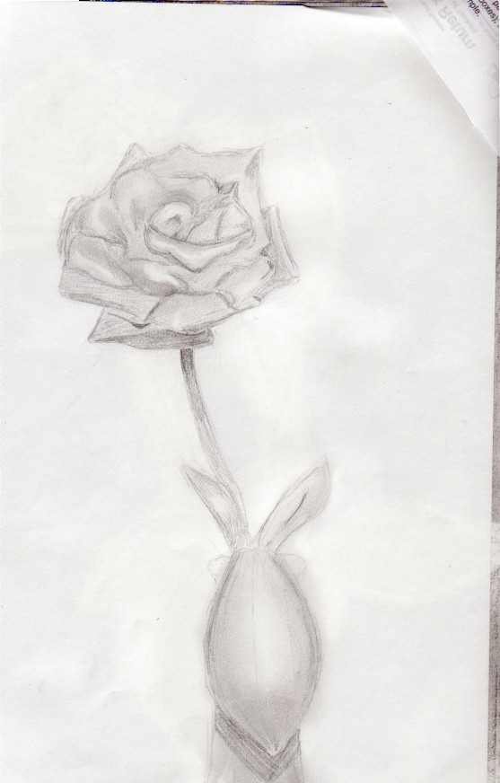 single rose 1 by SmilyFacedGurl