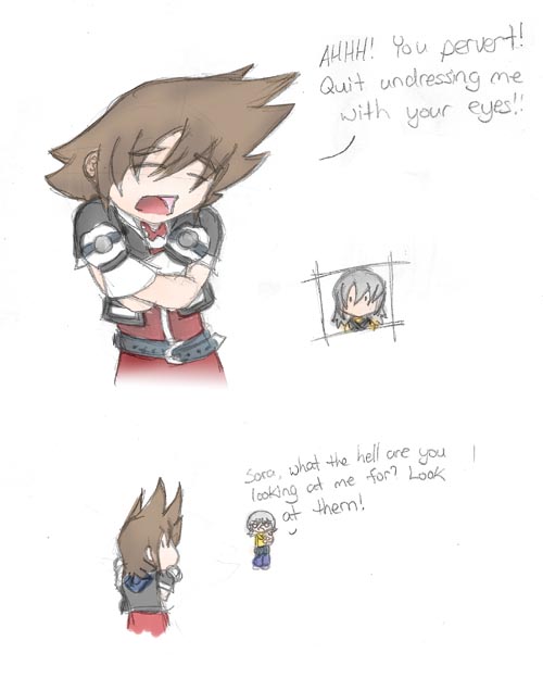 Sora strikes back against Sora nudity. o_o by Snake_Eyes