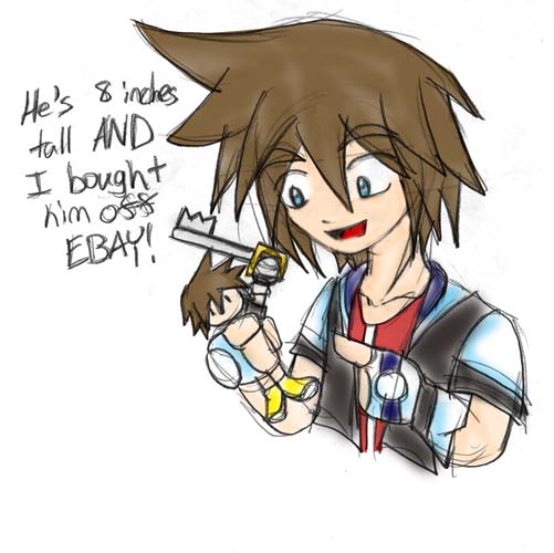 -Gasp- Sora wants to show you his 8 inch Sora by Snake_Eyes