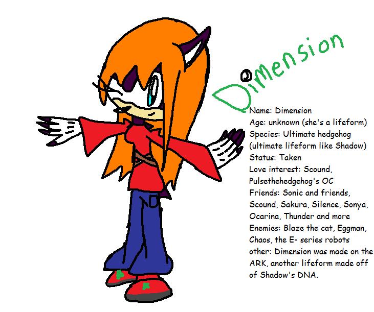 Dimension the ultimate hedgehog by Snowpaw1