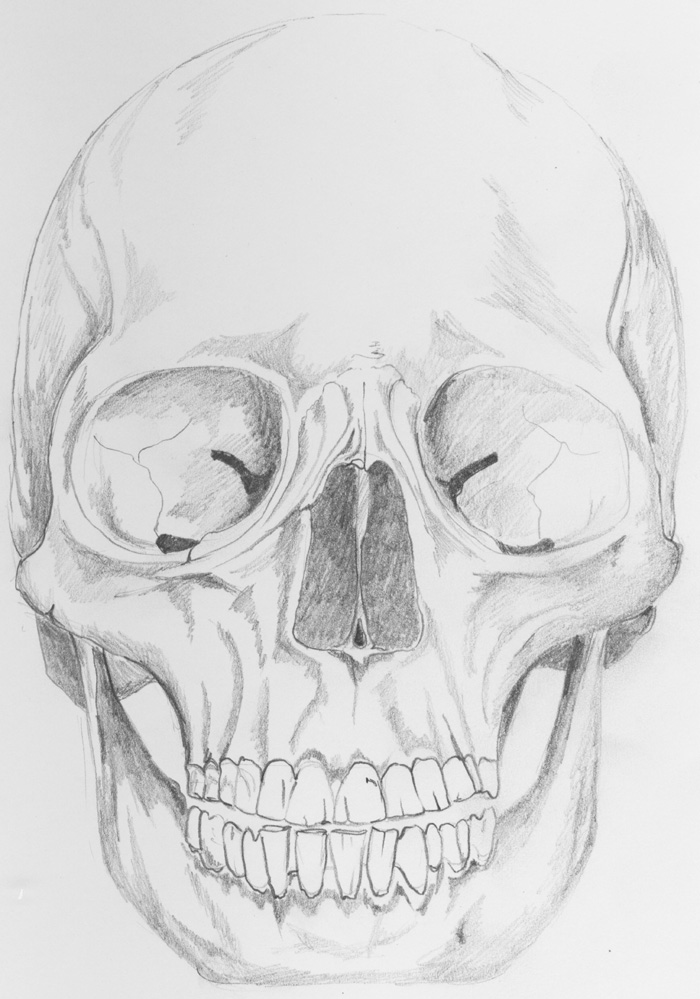 Skull by SoBo