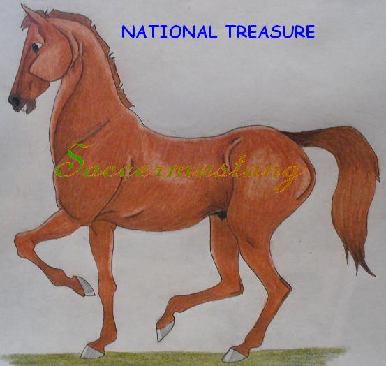 National Treasure by Soccermustang