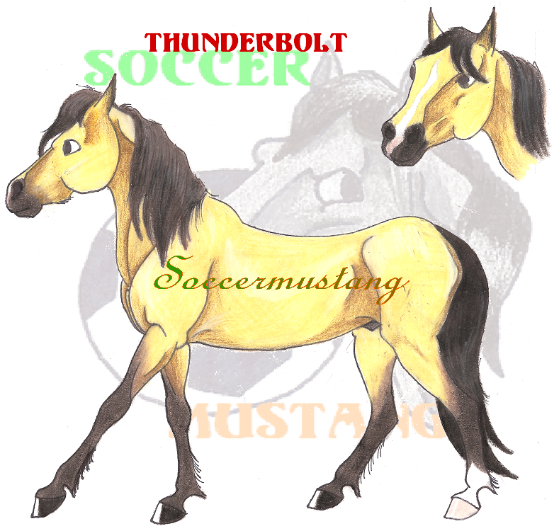 Thunderbolt by Soccermustang