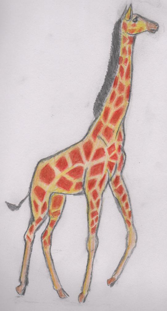 Giraffe by SofeSmity