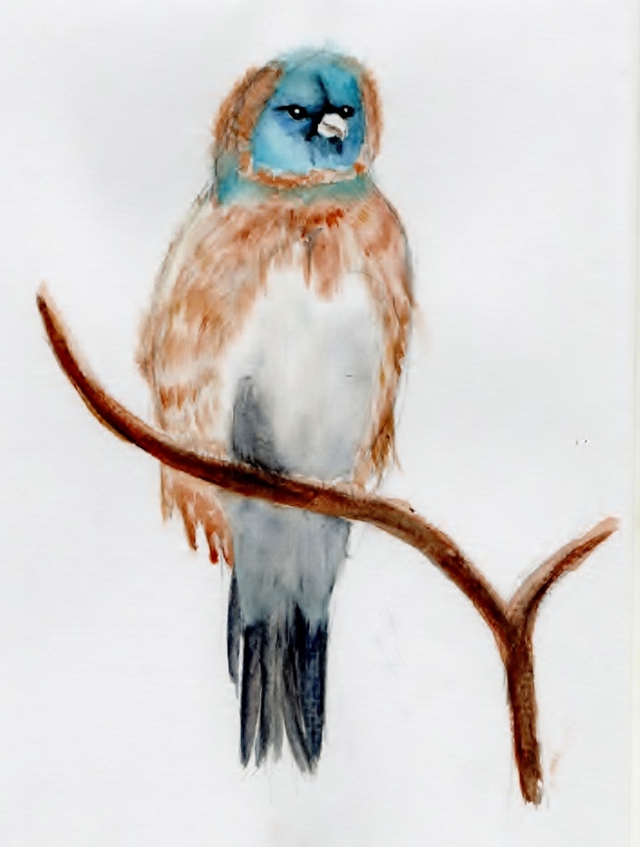 Bird on a Perch by SofeSmity