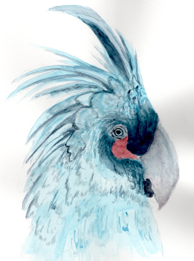 Blue Bird by SofeSmity