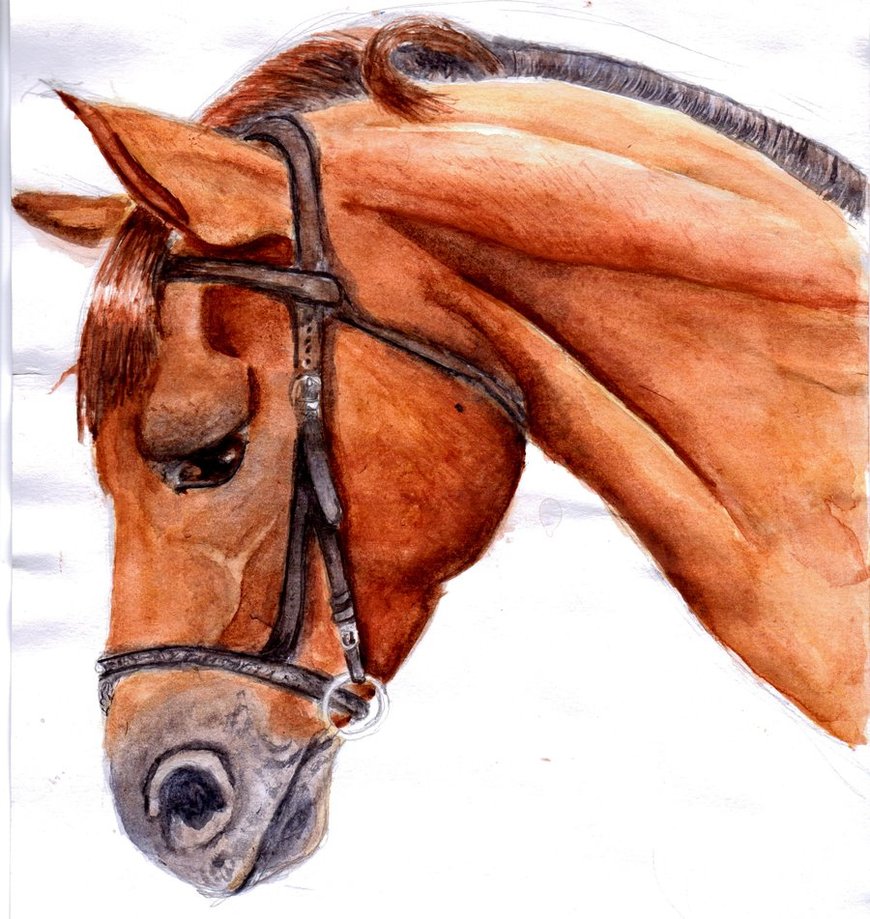Horse's Head by SofeSmity