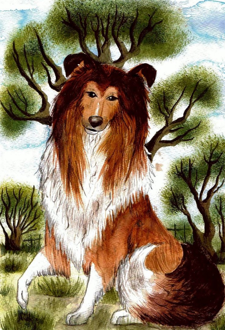 Rough Collie Dog by SofeSmity