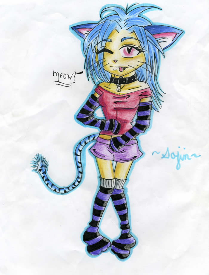 Crazy kittie by Sojin