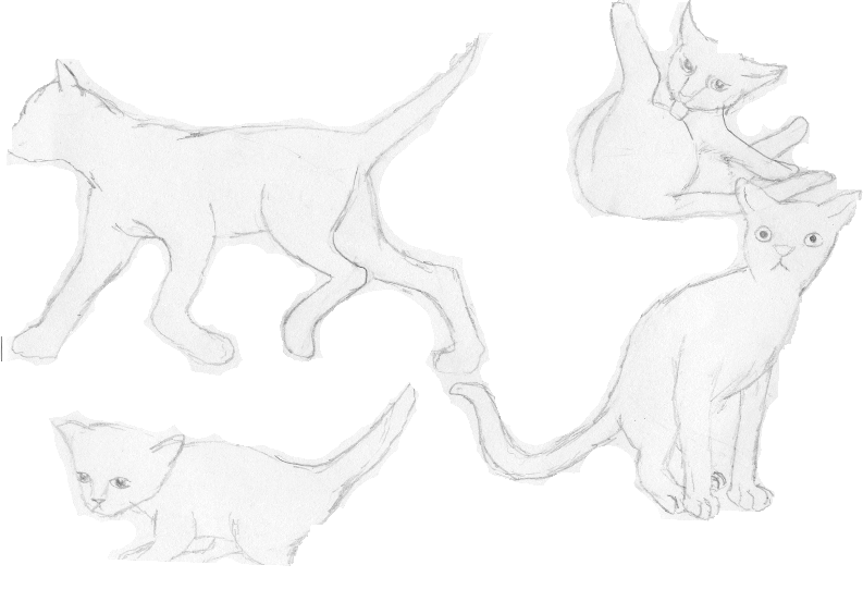 Kitties! by Sonari_RavenWing