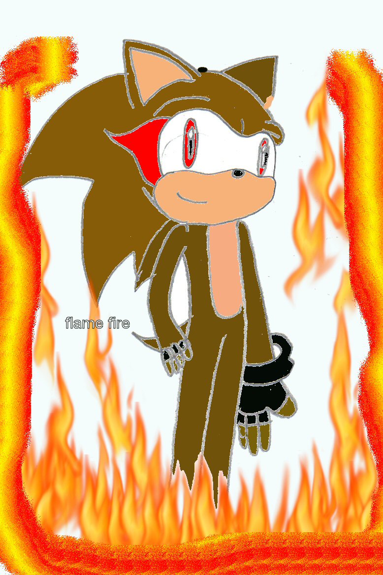 flame :D by SonicDX1995