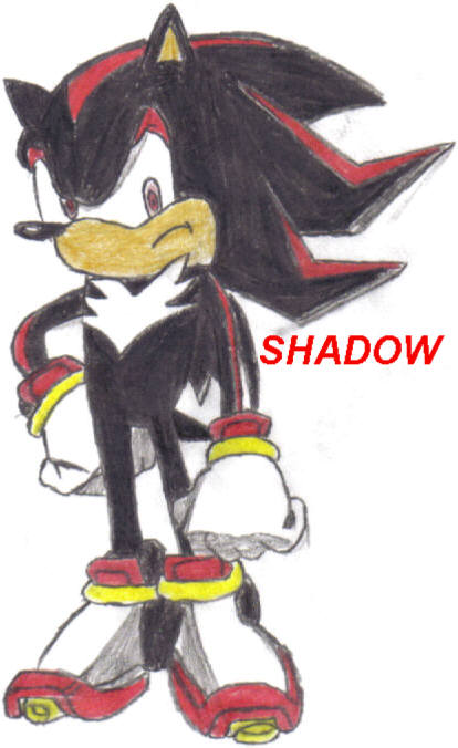 Shadow the Hedgehog by SonicShadow2