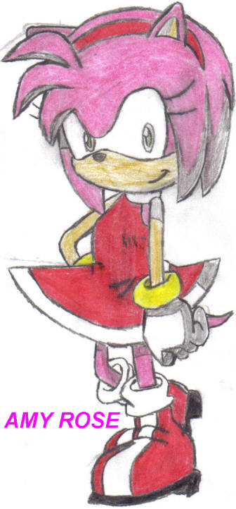Amy Rose by SonicShadow2