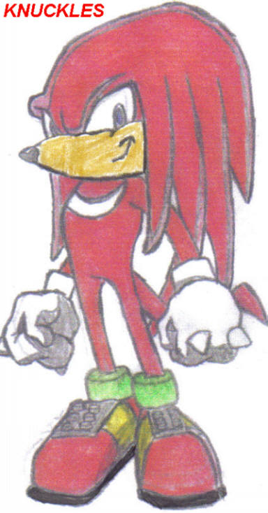 Knuckles the Echidna by SonicShadow2