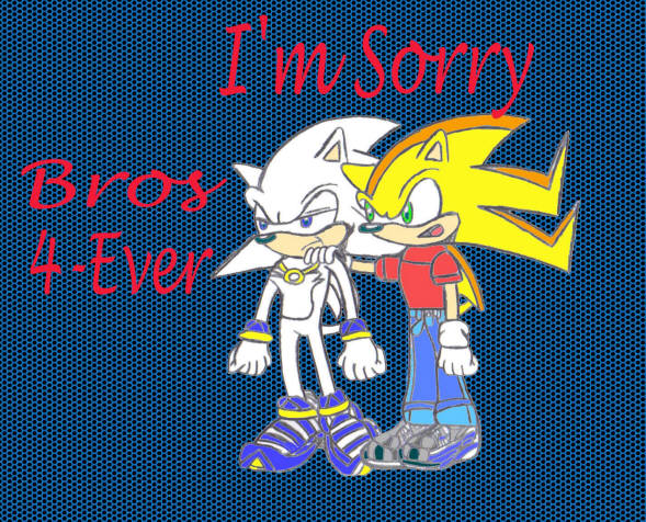 I'm Sorry Big Bro- Apoligy to SSonicSShadow by SonicShadow2