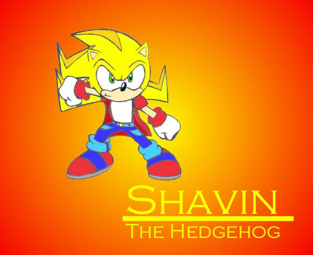 The New Shavin the Hedgehog by SonicShadow2